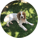 Maggie Simpson profile picture